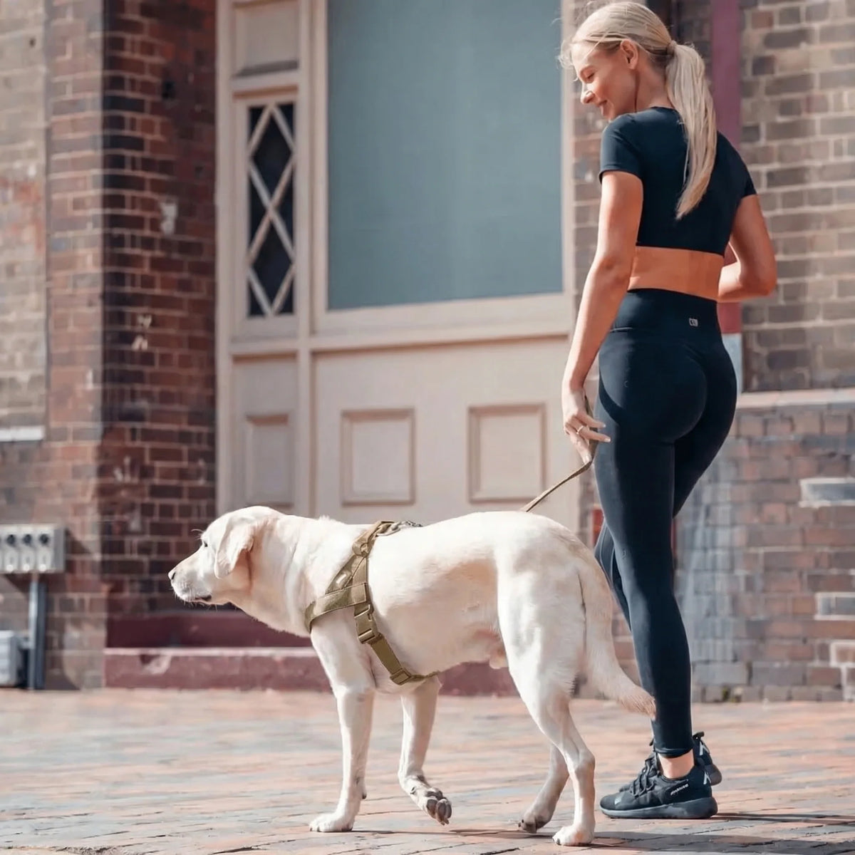 Anti-Zug-Hundegeschirr