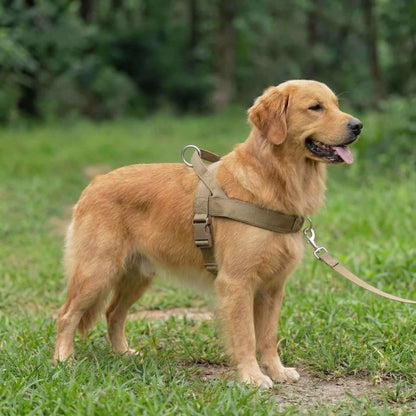 Anti-Zug-Hundegeschirr